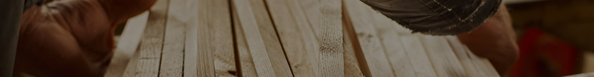 Blickfang Innenausbau