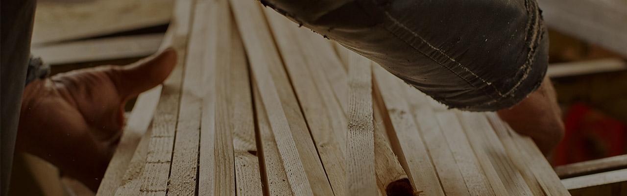 Blickfang Innenausbau