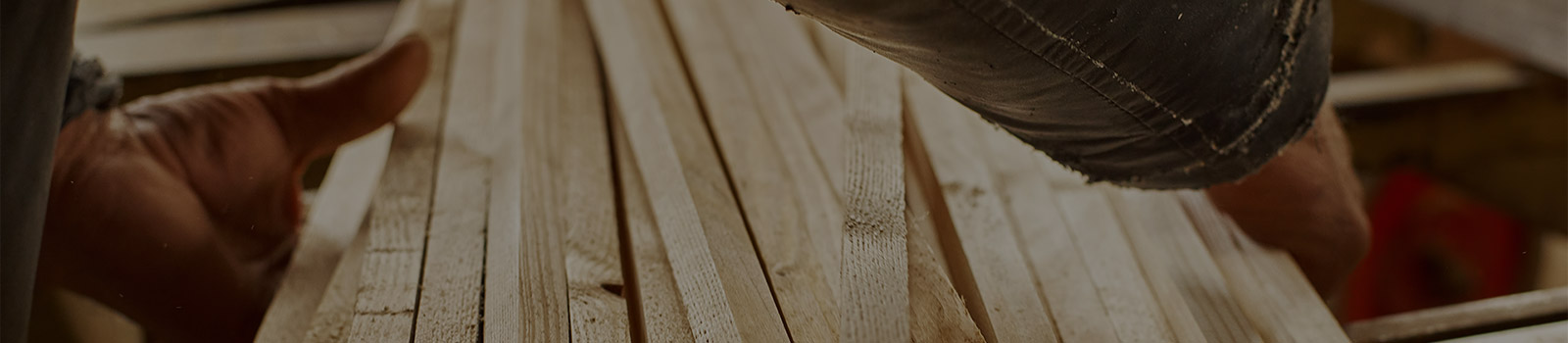 Blickfang Innenausbau